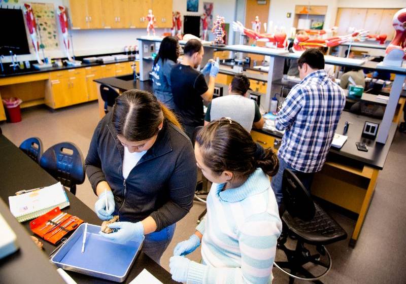 Students Conducting Hands-On Experiments in a UNT Dallas Science Lab