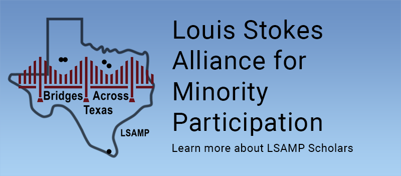 Link to learn more about LSAMP Scholars
